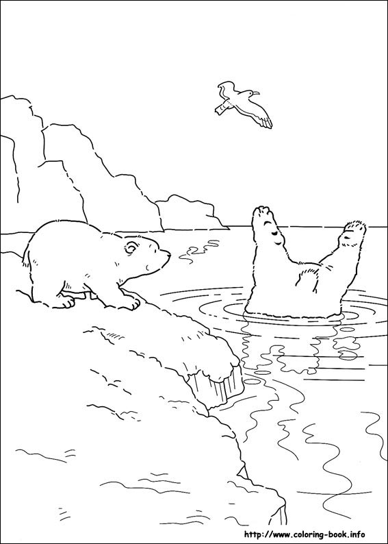 Little Polar Bear coloring picture